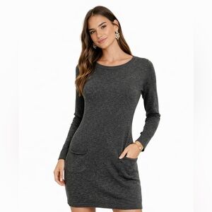 Gap Gray Sweater Dress with Pockets Size XS Long Sleeve Cozy Knit